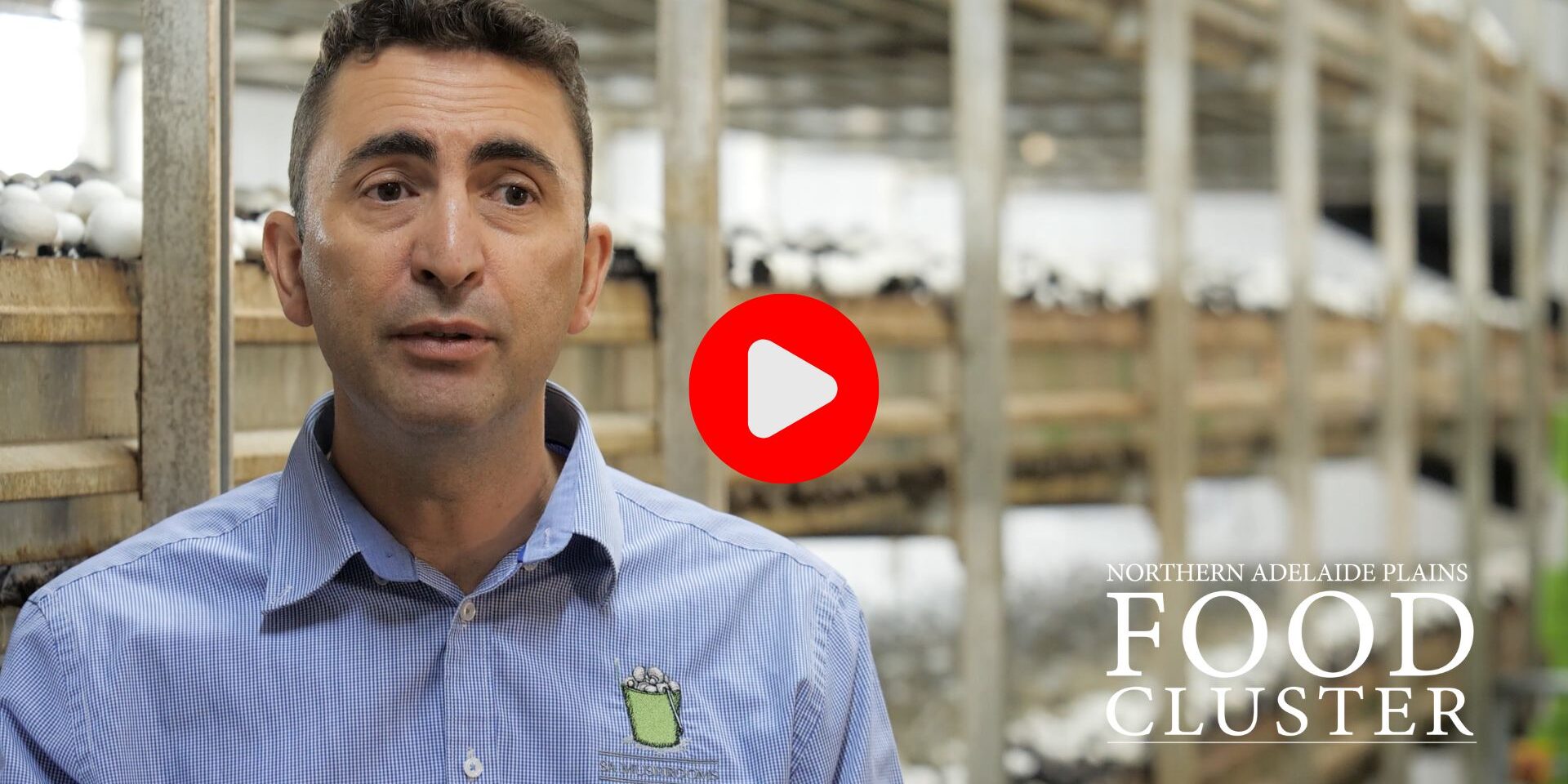 fafc8ee5-d6d7-1793-1cc8-e74d54ffdbed Nick Femia from SA Mushrooms. Northern Adelaide Plains Food Cluster.