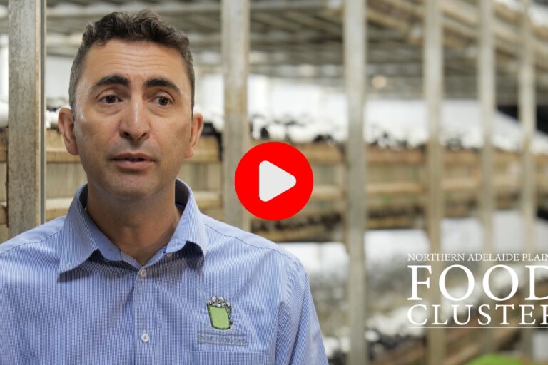 Nick Femia from SA Mushrooms. Northern Adelaide Plains Food Cluster.