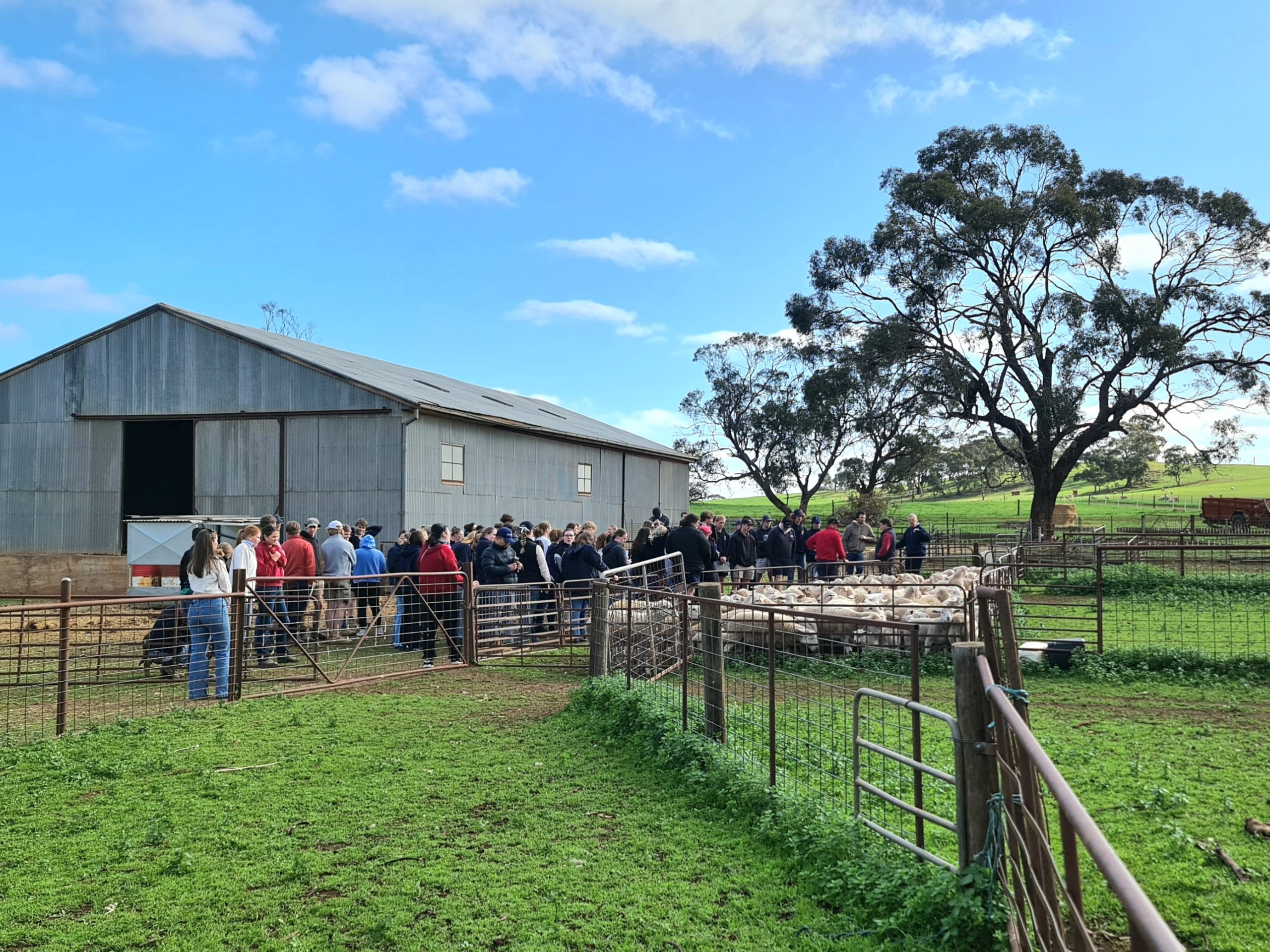 Students visit Greenwith Farms, Kapunda. 26 August.