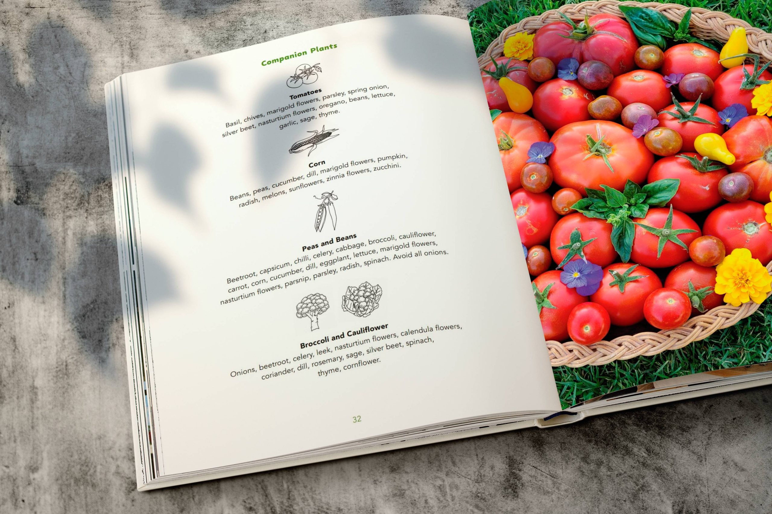 The Complete Patch Book open with text on the left and vegetables on the right.