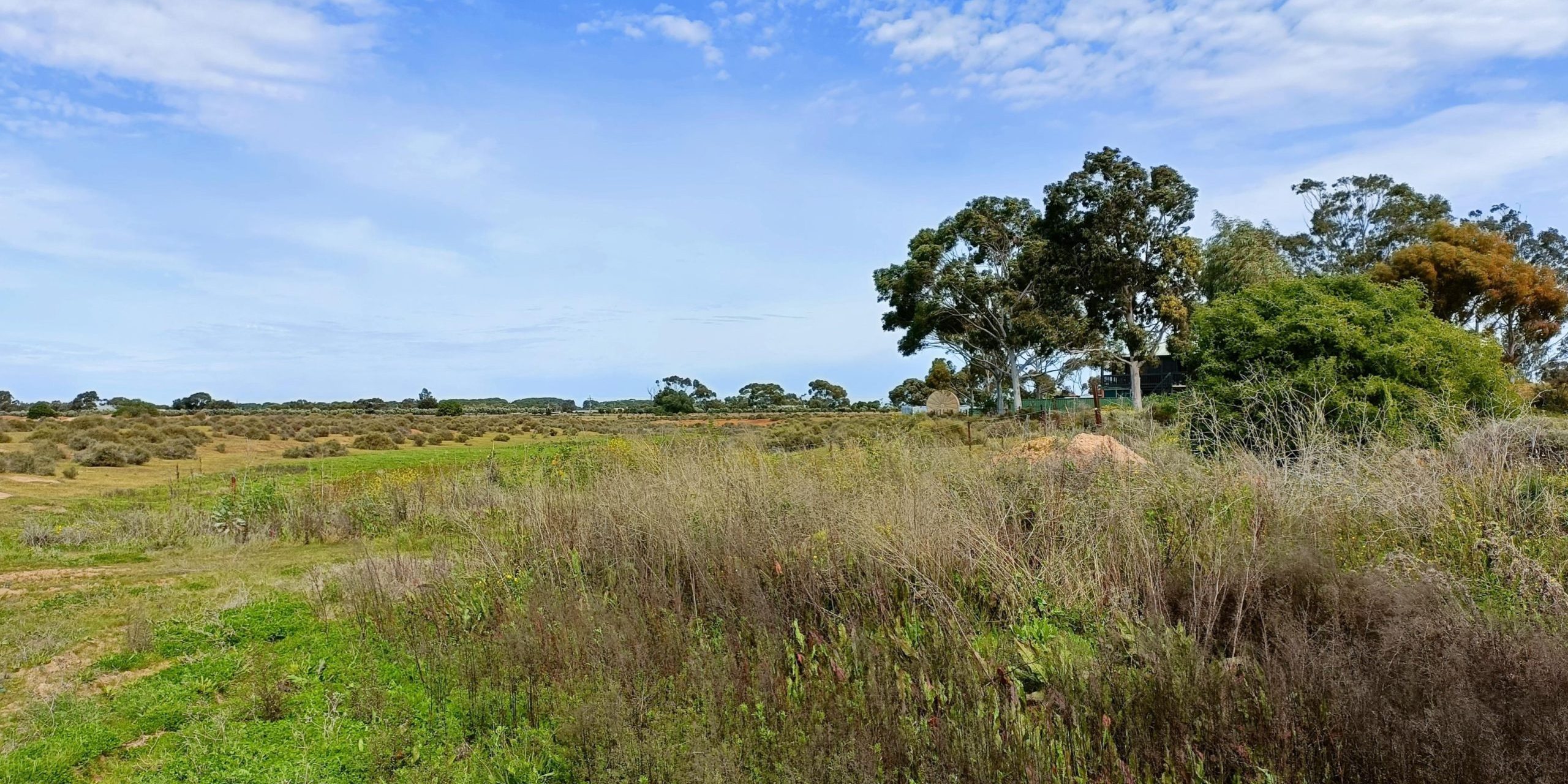 Two Wells Levee Project Regional Development Australia Barossa Gawler