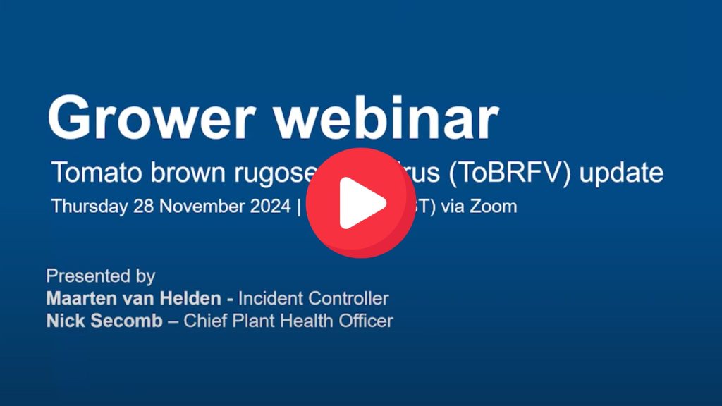 Grower webinar. Tomato brown rugose fruit virus (ToBRFV) update. Thursday 28 November 2024 4pm via Zoom. Presented by Maarten van Helden - Incident Controller and Nick Secomb - Chief Plant Health Office. South Australia. PIRSA. Government of South Australia. Department of Primary Industries and Regions.