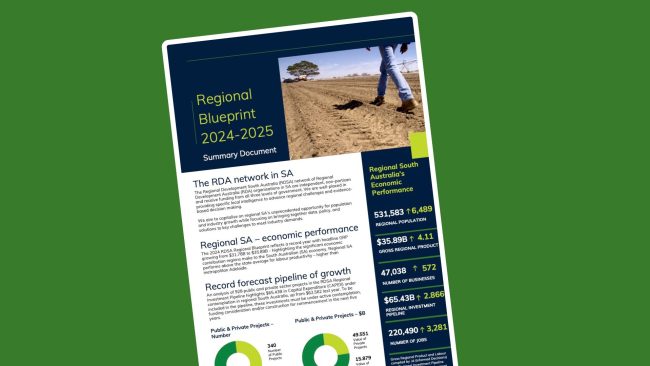 Regional Blueprint Highlights 2024/2025