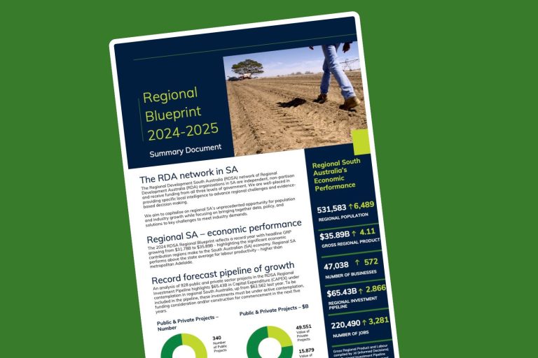 Regional Blueprint Highlights 2024/2025
