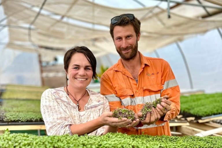 Farming families facing financial hardship may be eligible for the Farm Household Allowance. The allowance is taxable and subject to mutual obligation requirements. Applications are made through Services Australia.
