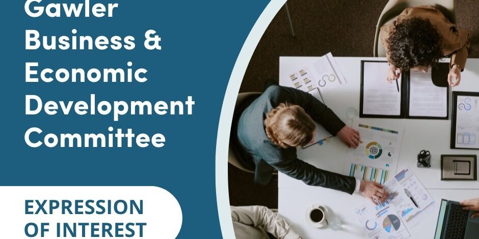 TOG Section 41 Committee post