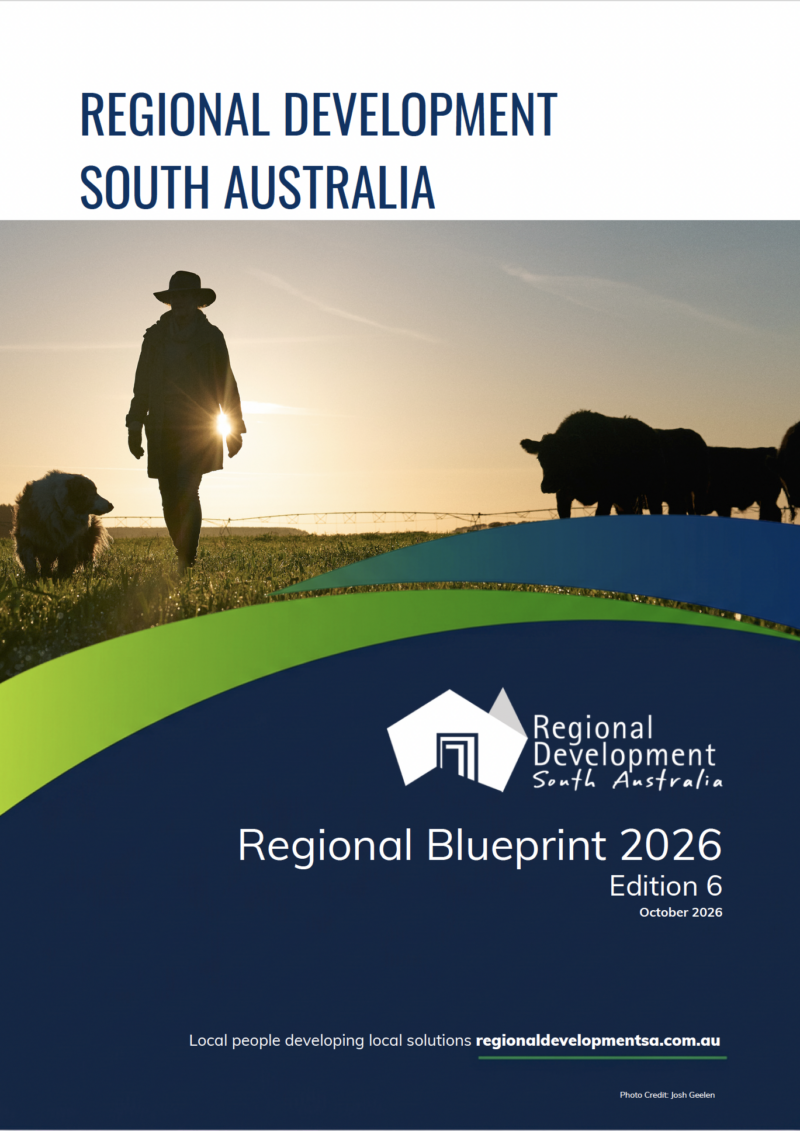 RDSA Regional Blueprint 2026 cover